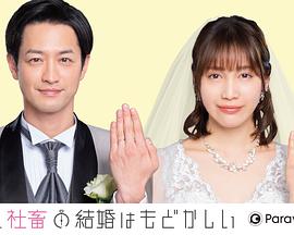 部長和社畜的結婚令人著急 特別篇(全集)