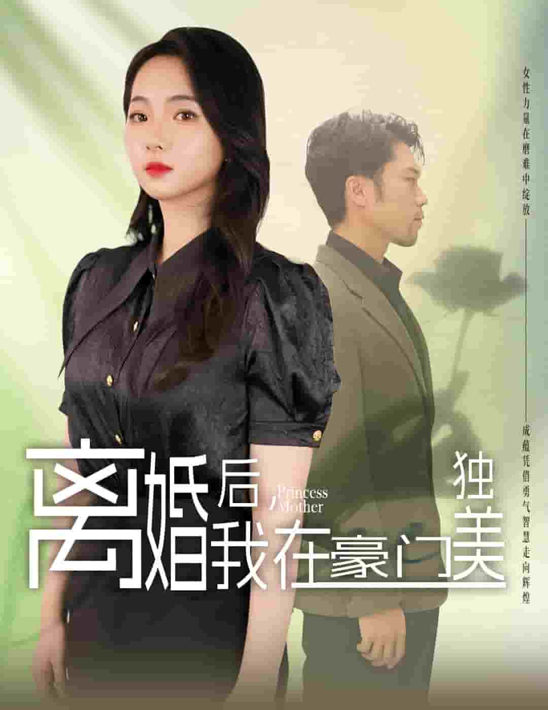 離婚后，我在豪門獨(dú)美(全集)