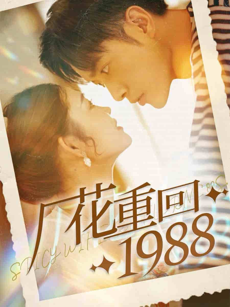 廠花重回1988第13集